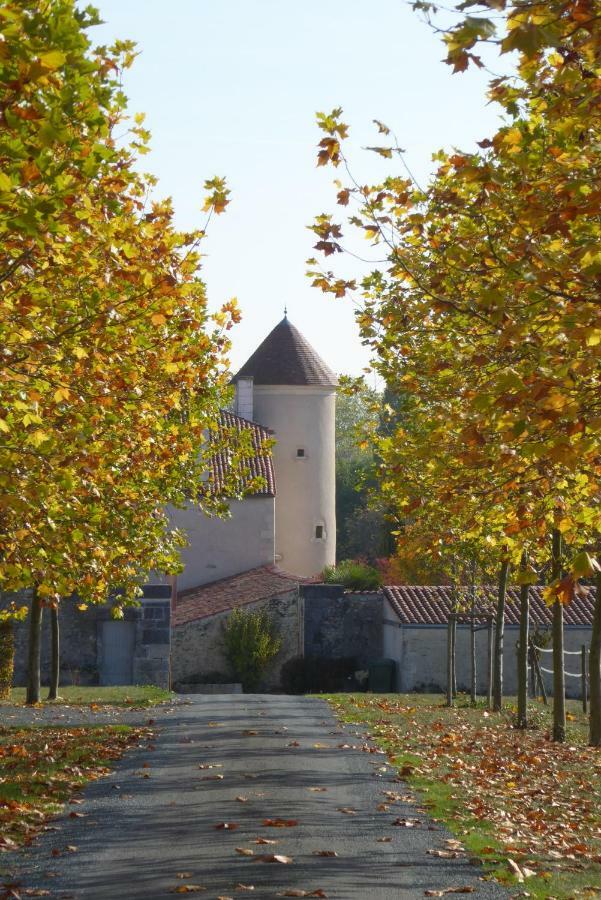 Chateau D'Annezay ภายนอก รูปภาพ